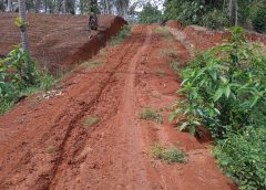 Pekon Bandung Baru Barat Realisasikan Pembukaan Badan Jalan dan Penimbunan Melalui Dana Desa  ‎  ‎