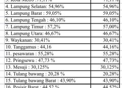 Lampung di Persimpangan Jalan: Ketika Kemantapan Infrastruktur Tak Lagi Merata”