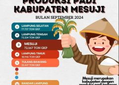 Padi Mesuji Untuk Siapa