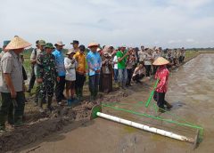 Kodim 0411/KM Hadir Dalam Giat Tanam Perdana Sistem PM-ASS di Seputih Raman