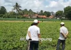 Berpraktek Hilirisasi di Lampung Menuju Industri Manufaktur