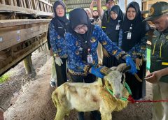 Lampung Kerahkan 1.229 Petugas Awasi Hewan Kurban Iduladha 2026