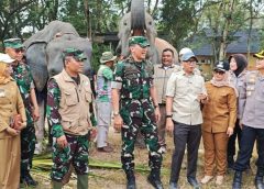 Kunjungi Taman Nasional Way Kambas, Gubernur dan Pangdam Pastikan Gajah Tidak Terdampak Kebakaran