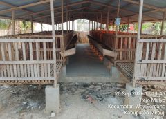 Anggaran Ketahanan Pangan Tahun 2025 Desa Rejo Mulyo Diduga Hilang Tanpa Pertanggung Jawaban