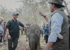Pemprov Lampung Dorong Keseimbangan Konservasi Gajah dan Aktivitas Masyarakat