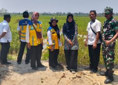 Perkuat Infrastruktur Pertanian, Babinsa Koramil 411-04/Trimurjo Dampingi Tim BBWS Mesuji Sekampung Awasi Pembangunan Saluran Tersier di Adipuro